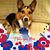 Linda Mandozzi's profile image