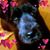 Deb Mills's profile image