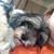 Cathy Munson's profile image