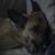 Sharon Butcher Bennett's profile image