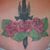 Anissa Marie's profile image