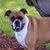 Kim Stuchell's profile image