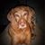 Armanda Engler's profile image