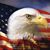 Rick Seekman's profile image