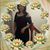 Camie Thu Ngo's profile image