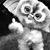 Juan Carlos's profile image