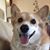 Phyllis Rhinegold Epure's profile image