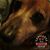Shirley Tracy's profile image