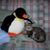 Lichen Cross's profile image