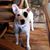 Candi Boitnott's profile image