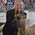 Vicki Tidball's profile image