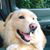 Larry Gilmore's profile image