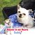 Donna Marshall's profile image