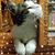 Kathy Gunno McWhorter's profile image
