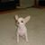 Cindy Gardner's profile image