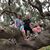 Lucy Hamby Wynne's profile image