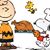 Judy Metelli's profile image
