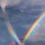 Elizabeth Confer's profile image