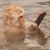 Kathleen Vogel's profile image