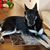 Jami Majcen Kielhack's profile image