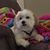 Connie Singer's profile image