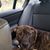 Elizabeth Elaine Norris's profile image