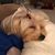Cheryl Brunk Pauley's profile image