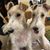 Kathy Higginbotham's profile image