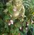 Zahara Frampton's profile image