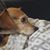 Nicole Baier's profile image