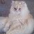 Ann Davis's profile image