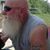 Rich Wolfman's profile image