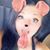 Ashley N. Wimmer's profile image