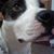Susan Krivak's profile image