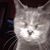 Joanne Campbell's profile image