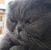 Lulu Salinas's profile image