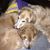 William WhoDat Mazerat's profile image