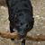 Jenniferz Jack's profile image