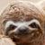 Maria Joanne Soto's profile image