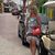Cindy Libbey's profile image