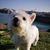 Kevin Pateman's profile image