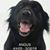 JT Schuur's profile image