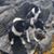 Terri Cesarek's profile image