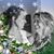 Julie K McGregor Marsico's profile image