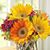Kimberly Wilbur's profile image