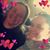 Melinda Hanson-Juedes's profile image