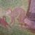 Robert Biedinger's profile image