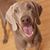 Cassie Kipper's profile image