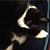 Vicki L Bacon's profile image