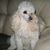 Trudy Niki's profile image